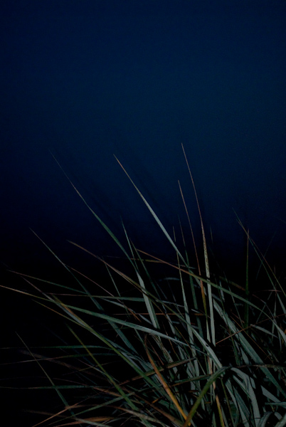 a midsummer night`s dream