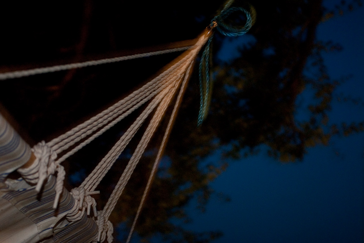 a midsummer night`s dream